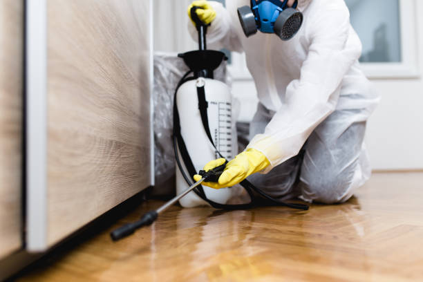 Best Bed Bug Extermination  in Kellyville, OK