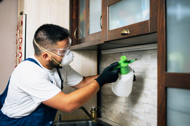 Best Termite Control Services  in Kellyville, OK