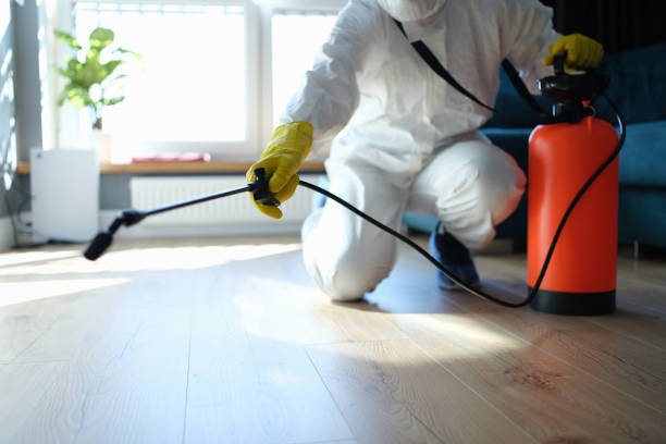 Best Insect Control  in Kellyville, OK
