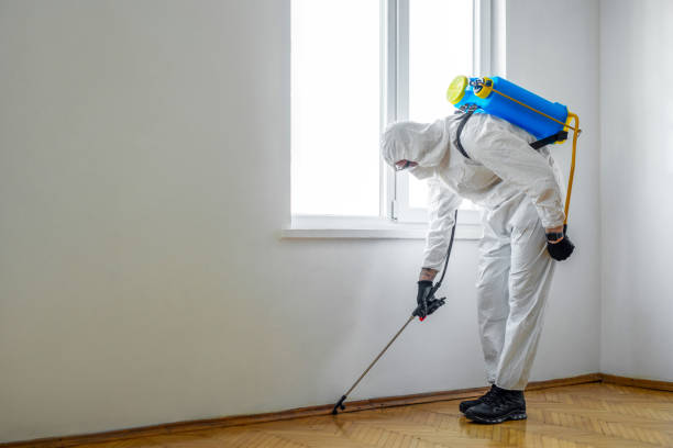 Best Pest Inspection Near Me  in Kellyville, OK