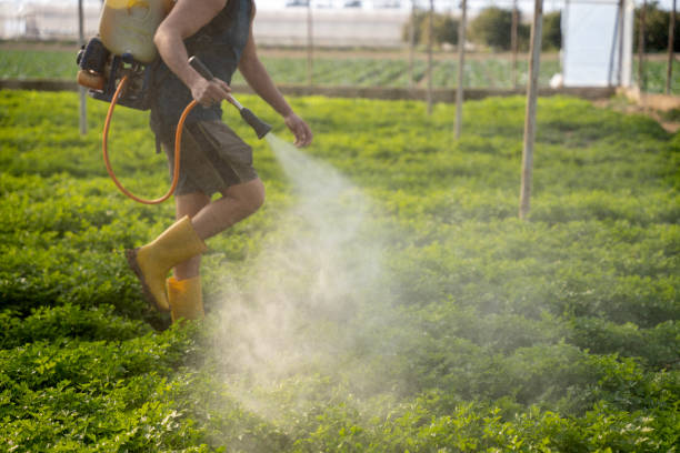 Best Local Pest Control Services  in Kellyville, OK