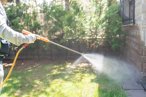 Best Wasp Removal Services  in Kellyville, OK
