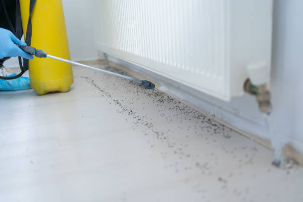 Reliable Kellyville, OK Pest Control Solutions